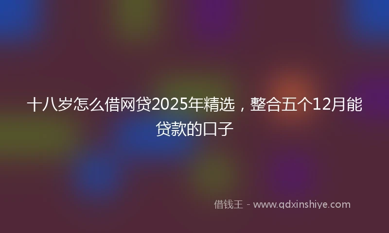 十八岁怎么借网贷2025年精选，整合五个12月能贷款的口子