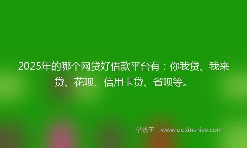 2025年的哪个网贷好借款平台有：你我贷、我来贷、花呗、信用卡贷、省呗等。