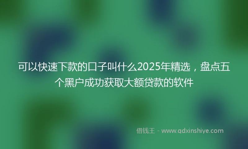 可以快速下款的口子叫什么2025年精选，盘点五个黑户成功获取大额贷款的软件