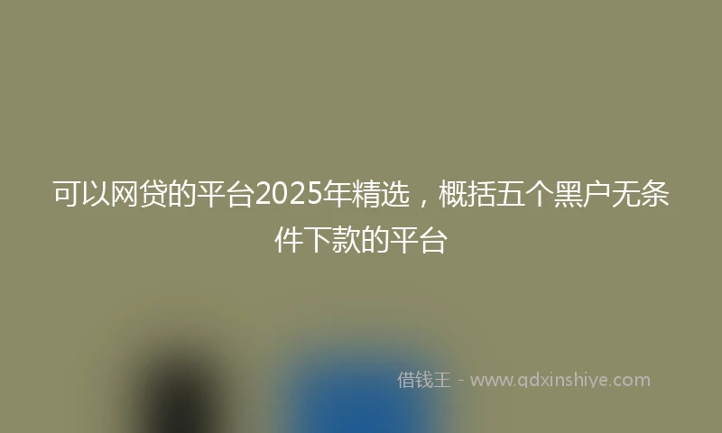 可以网贷的平台2025年精选，概括五个黑户无条件下款的平台
