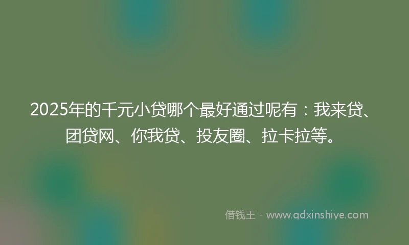 2025年的千元小贷哪个最好通过呢有：我来贷、团贷网、你我贷、投友圈、拉卡拉等。