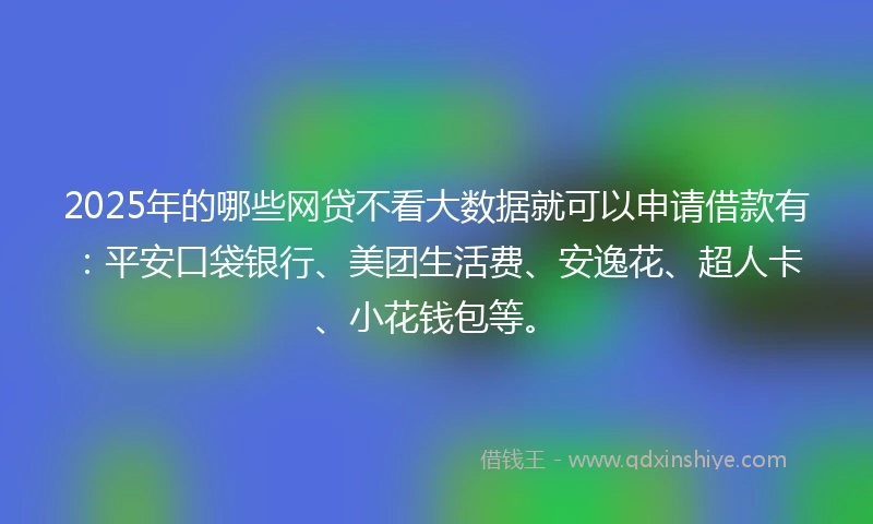 2025年的哪些网贷不看大数据就可以申请借款有：平安口袋银行、美团生活费、安逸花、超人卡、小花钱包等。