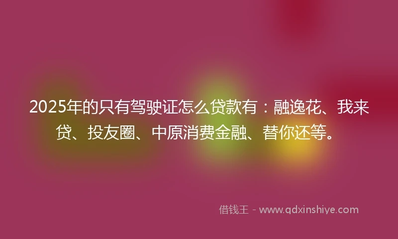 2025年的只有驾驶证怎么贷款有：融逸花、我来贷、投友圈、中原消费金融、替你还等。