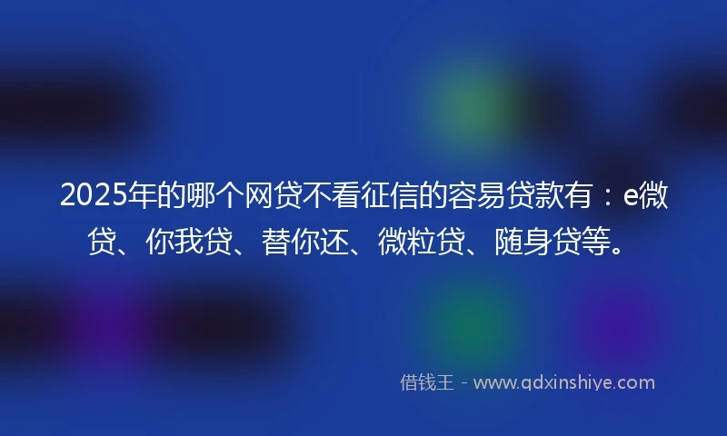2025年的哪个网贷不看征信的容易贷款有：e微贷、你我贷、替你还、微粒贷、随身贷等。
