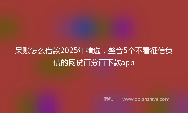 呆账怎么借款2025年精选，整合5个不看征信负债的网贷百分百下款app