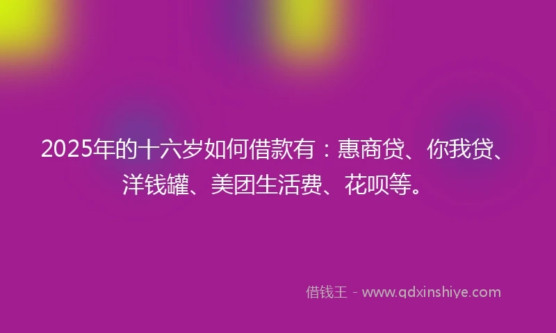 2025年的十六岁如何借款有：惠商贷、你我贷、洋钱罐、美团生活费、花呗等。