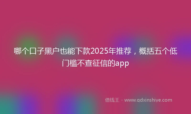 哪个口子黑户也能下款2025年推荐，概括五个低门槛不查征信的app