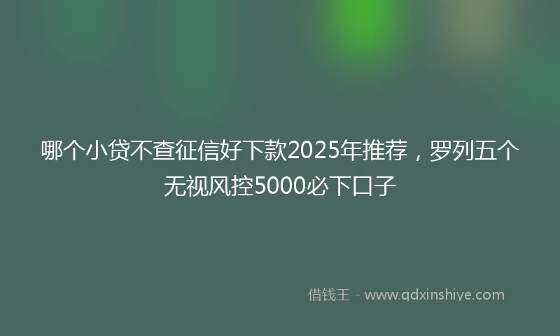 哪个小贷不查征信好下款2025年推荐，罗列五个无视风控5000必下口子