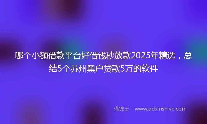 哪个小额借款平台好借钱秒放款2025年精选，总结5个苏州黑户贷款5万的软件