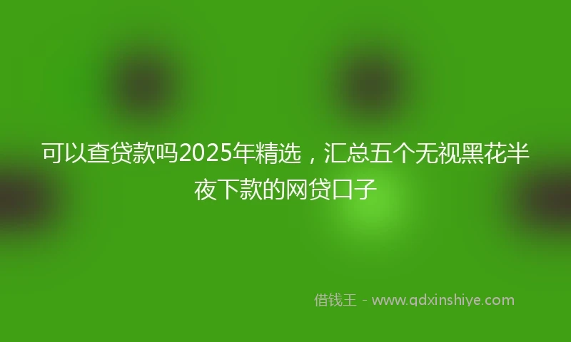 可以查贷款吗2025年精选，汇总五个无视黑花半夜下款的网贷口子