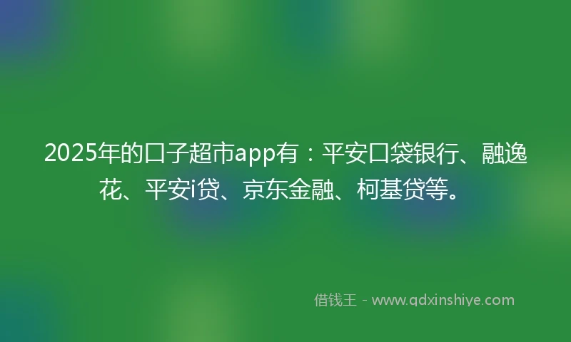 2025年的口子超市app有：平安口袋银行、融逸花、平安i贷、京东金融、柯基贷等。
