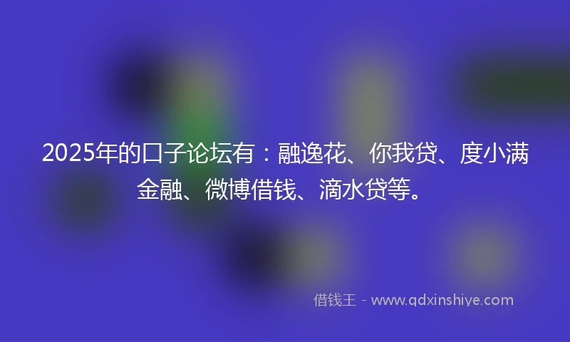 2025年的口子论坛有：融逸花、你我贷、度小满金融、微博借钱、滴水贷等。