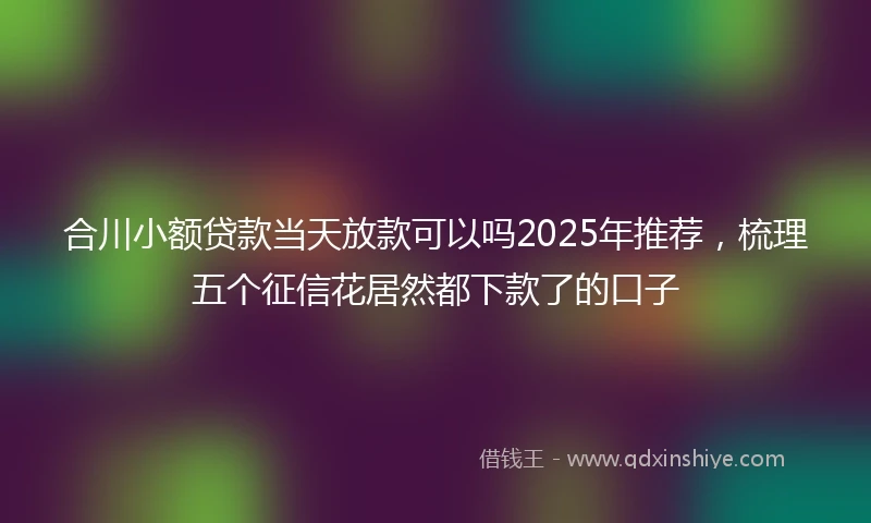 合川小额贷款当天放款可以吗2025年推荐，梳理五个征信花居然都下款了的口子