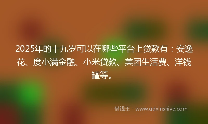 2025年的十九岁可以在哪些平台上贷款有：安逸花、度小满金融、小米贷款、美团生活费、洋钱罐等。