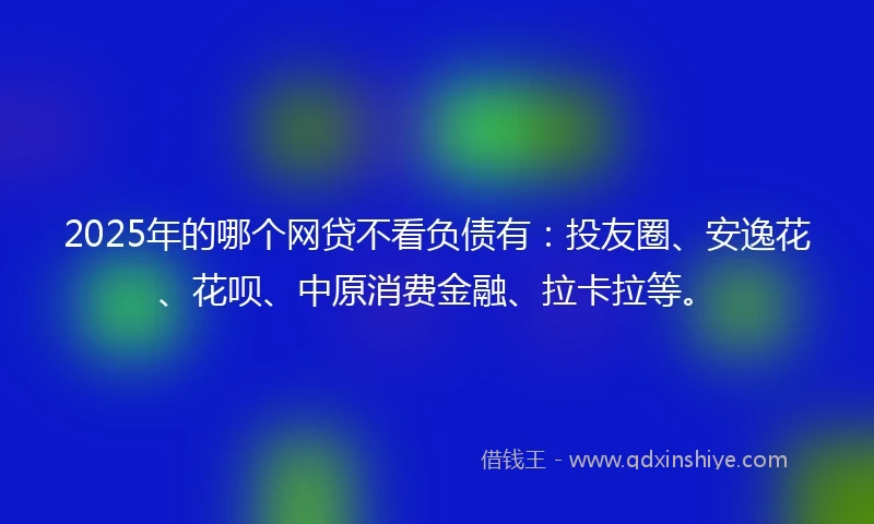 2025年的哪个网贷不看负债有：投友圈、安逸花、花呗、中原消费金融、拉卡拉等。