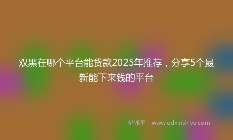双黑在哪个平台能贷款2025年推荐，分享5个最新能下来钱的平台