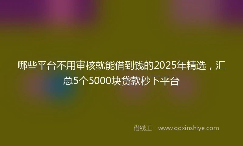 哪些平台不用审核就能借到钱的2025年精选，汇总5个5000块贷款秒下平台