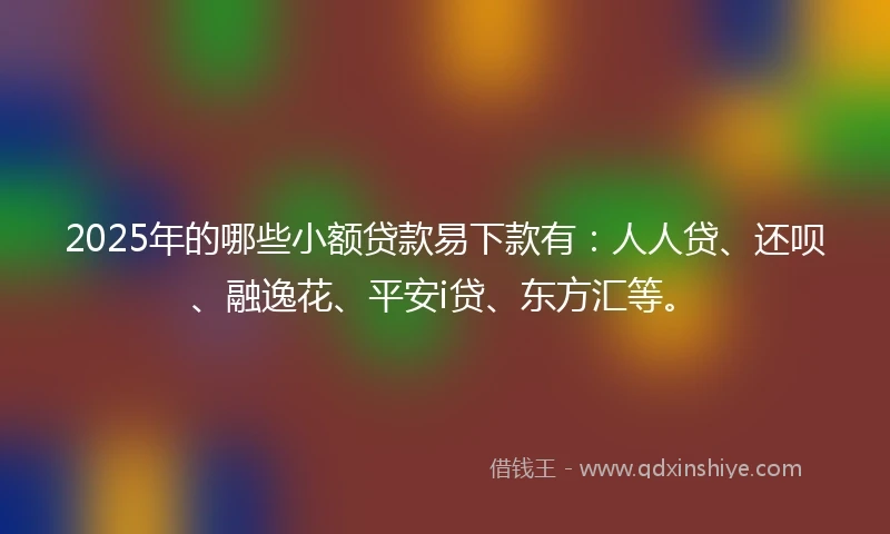 2025年的哪些小额贷款易下款有：人人贷、还呗、融逸花、平安i贷、东方汇等。