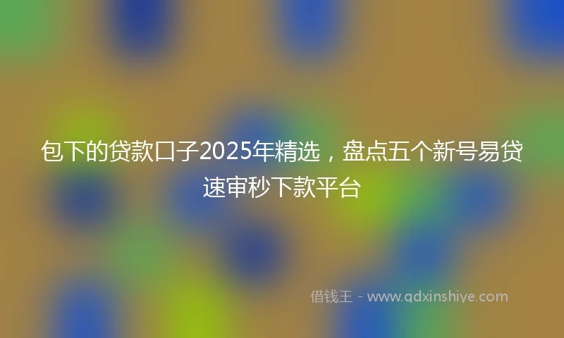 包下的贷款口子2025年精选，盘点五个新号易贷速审秒下款平台