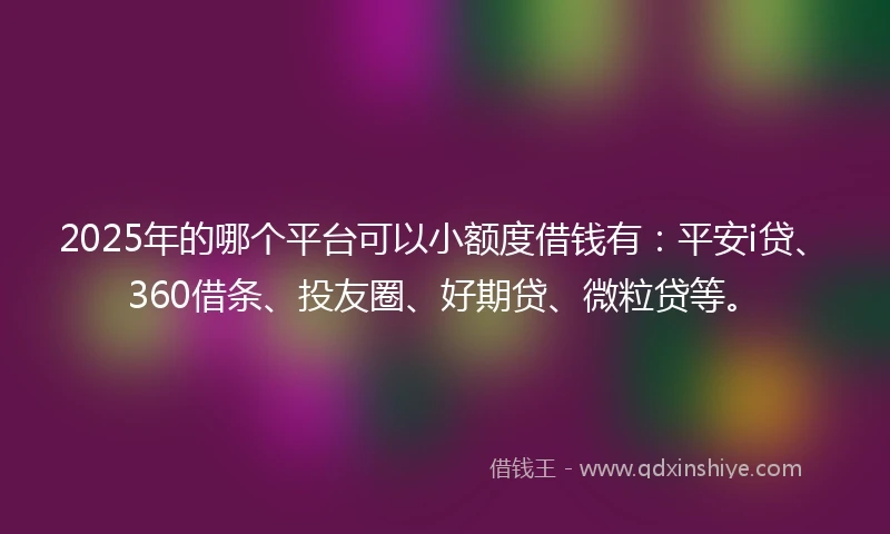 2025年的哪个平台可以小额度借钱有：平安i贷、360借条、投友圈、好期贷、微粒贷等。