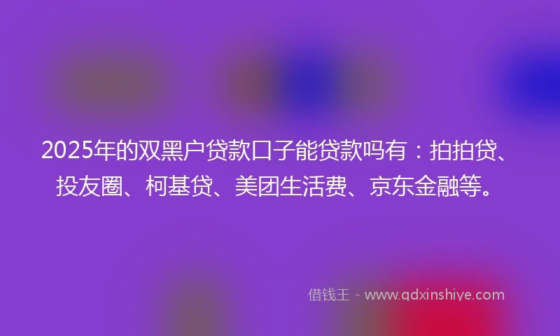 2025年的双黑户贷款口子能贷款吗有：拍拍贷、投友圈、柯基贷、美团生活费、京东金融等。