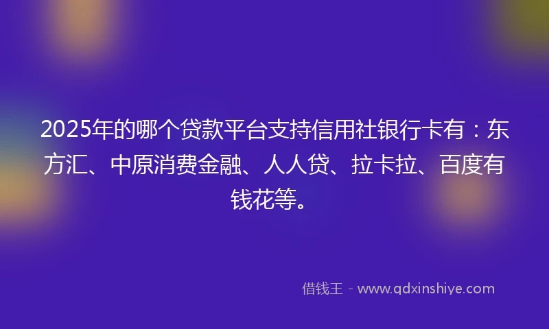 2025年的哪个贷款平台支持信用社银行卡有：东方汇、中原消费金融、人人贷、拉卡拉、百度有钱花等。
