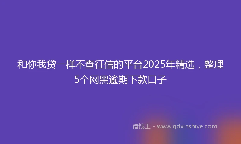 和你我贷一样不查征信的平台2025年精选，整理5个网黑逾期下款口子