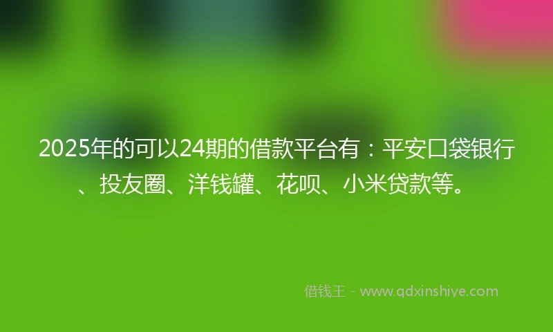 2025年的可以24期的借款平台有：平安口袋银行、投友圈、洋钱罐、花呗、小米贷款等。