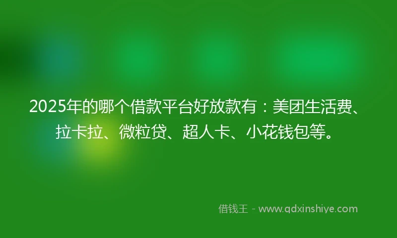 2025年的哪个借款平台好放款有：美团生活费、拉卡拉、微粒贷、超人卡、小花钱包等。