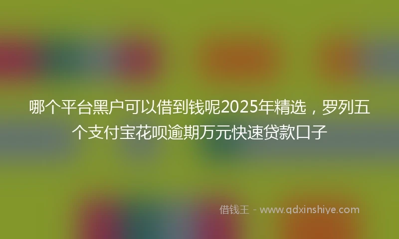 哪个平台黑户可以借到钱呢2025年精选，罗列五个支付宝花呗逾期万元快速贷款口子