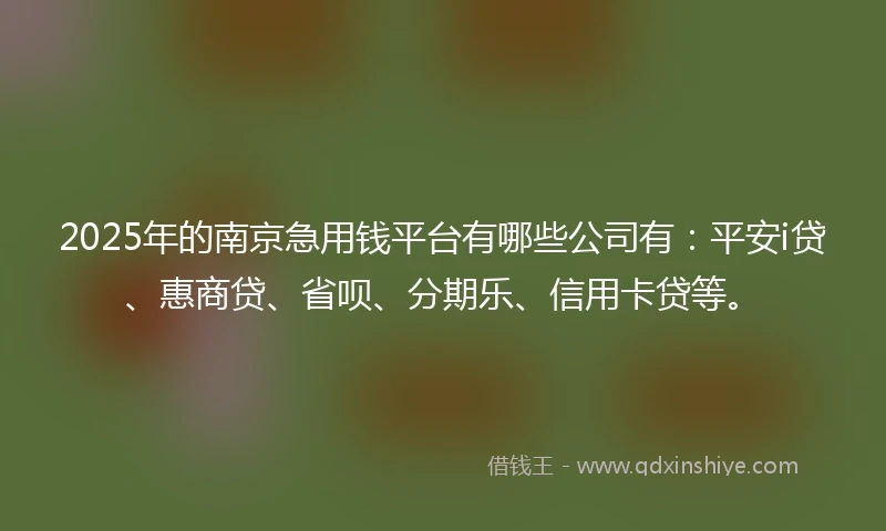 2025年的南京急用钱平台有哪些公司有：平安i贷、惠商贷、省呗、分期乐、信用卡贷等。
