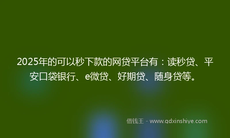 2025年的可以秒下款的网贷平台有：读秒贷、平安口袋银行、e微贷、好期贷、随身贷等。
