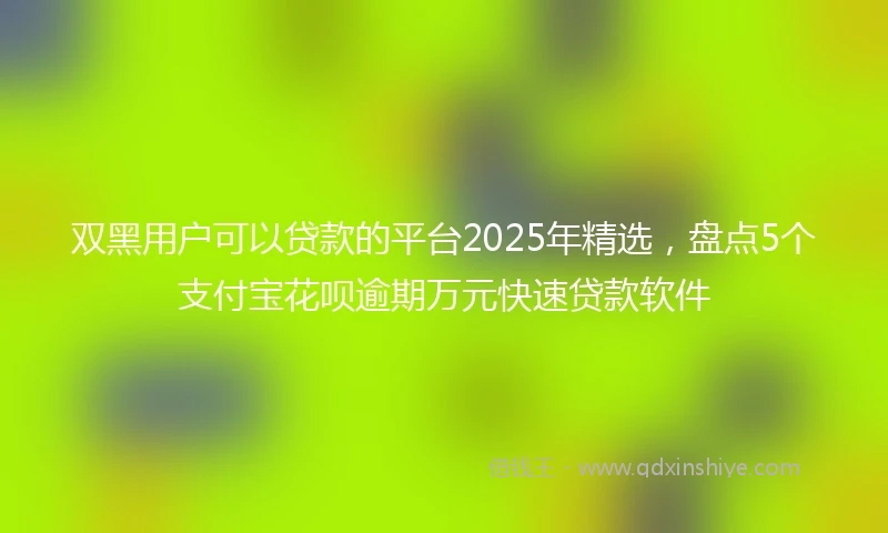 双黑用户可以贷款的平台2025年精选，盘点5个支付宝花呗逾期万元快速贷款软件