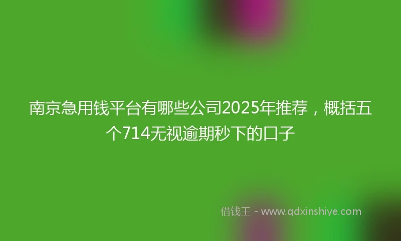 南京急用钱平台有哪些公司2025年推荐，概括五个714无视逾期秒下的口子