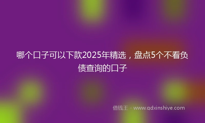 哪个口子可以下款2025年精选，盘点5个不看负债查询的口子
