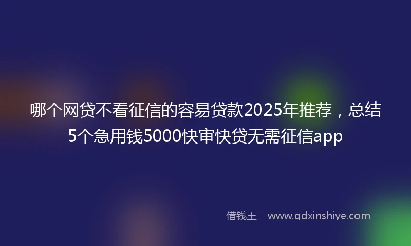 哪个网贷不看征信的容易贷款2025年推荐，总结5个急用钱5000快审快贷无需征信app