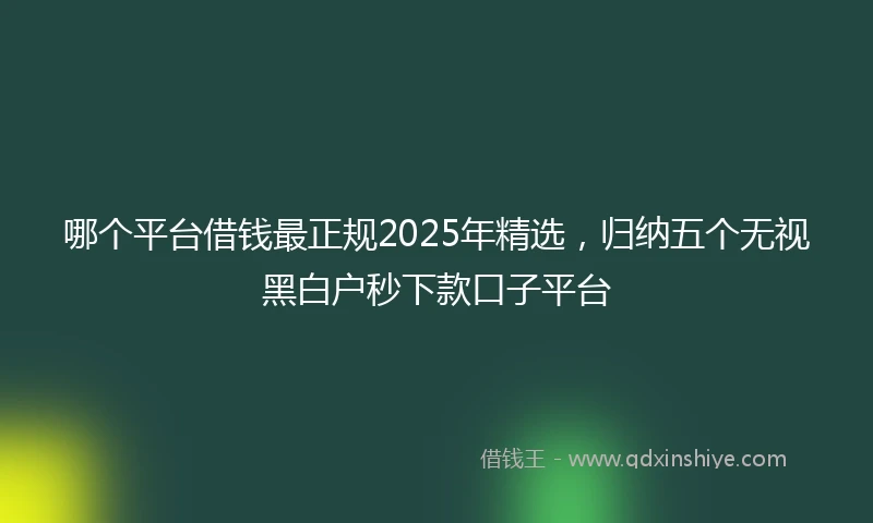 哪个平台借钱最正规2025年精选，归纳五个无视黑白户秒下款口子平台