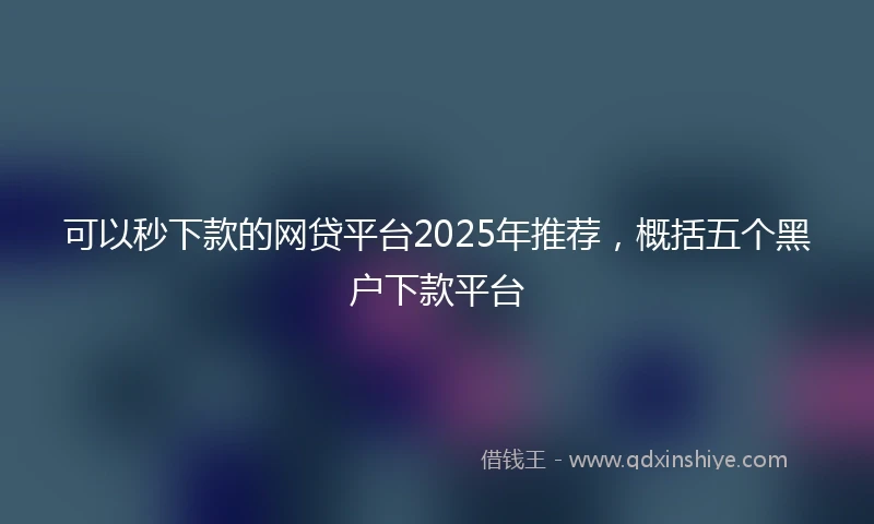 可以秒下款的网贷平台2025年推荐，概括五个黑户下款平台