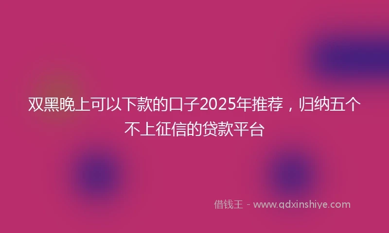 双黑晚上可以下款的口子2025年推荐，归纳五个不上征信的贷款平台