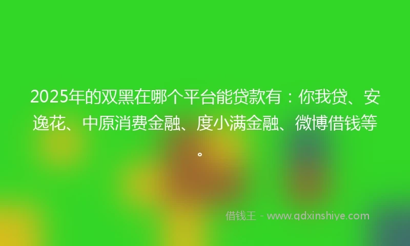 2025年的双黑在哪个平台能贷款有：你我贷、安逸花、中原消费金融、度小满金融、微博借钱等。