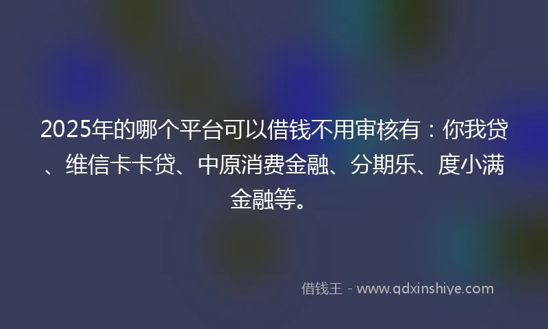 2025年的哪个平台可以借钱不用审核有：你我贷、维信卡卡贷、中原消费金融、分期乐、度小满金融等。