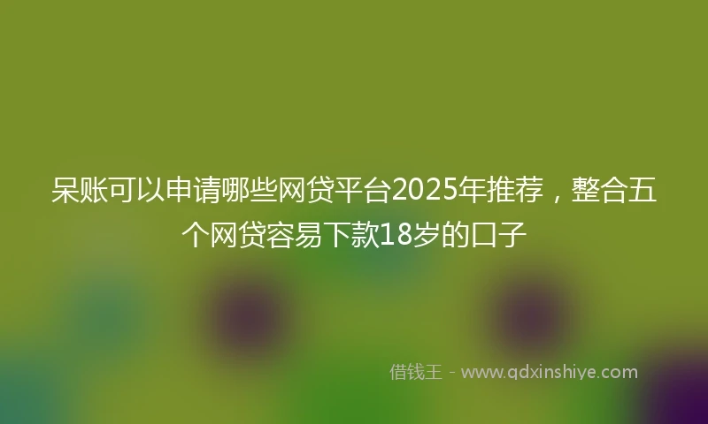 呆账可以申请哪些网贷平台2025年推荐，整合五个网贷容易下款18岁的口子