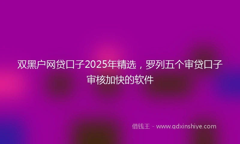 双黑户网贷口子2025年精选，罗列五个审贷口子审核加快的软件