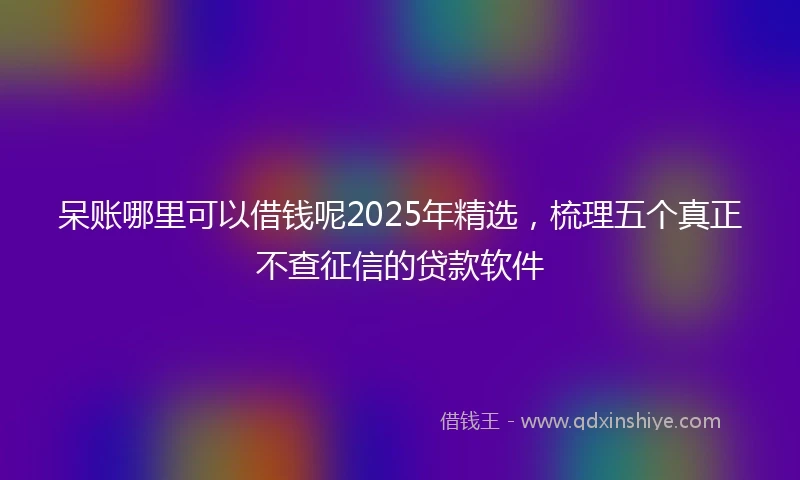 呆账哪里可以借钱呢2025年精选，梳理五个真正不查征信的贷款软件