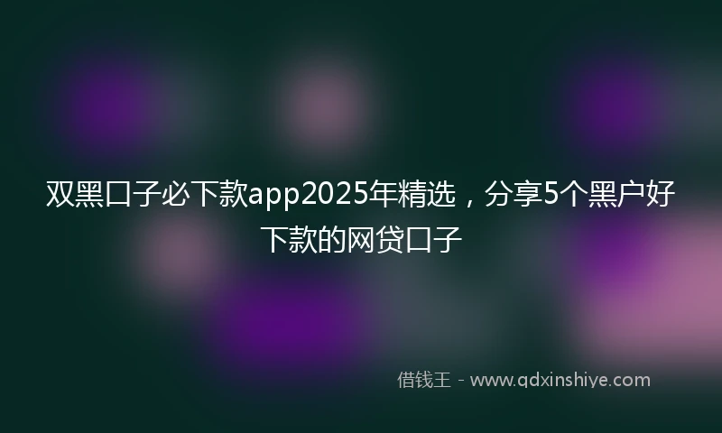 双黑口子必下款app2025年精选,分享5个黑户好下款的网贷口子