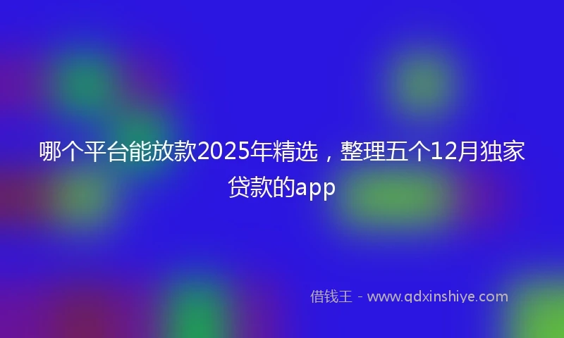 哪个平台能放款2025年精选，整理五个12月独家贷款的app
