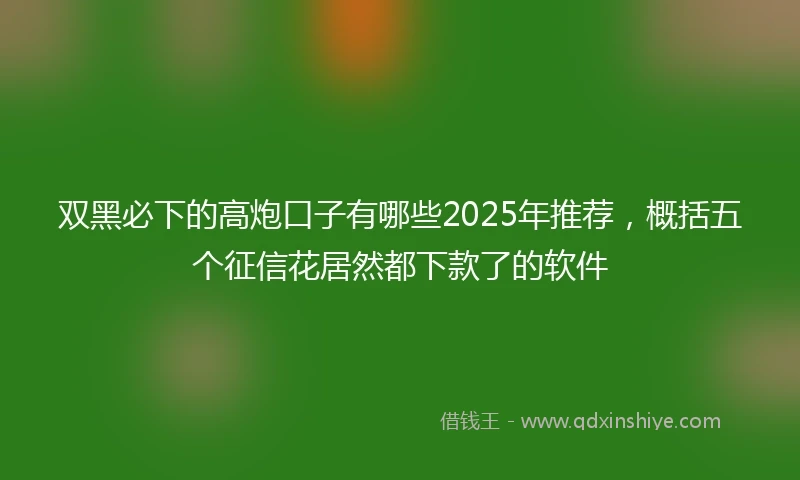 双黑必下的高炮口子有哪些2025年推荐，概括五个征信花居然都下款了的软件