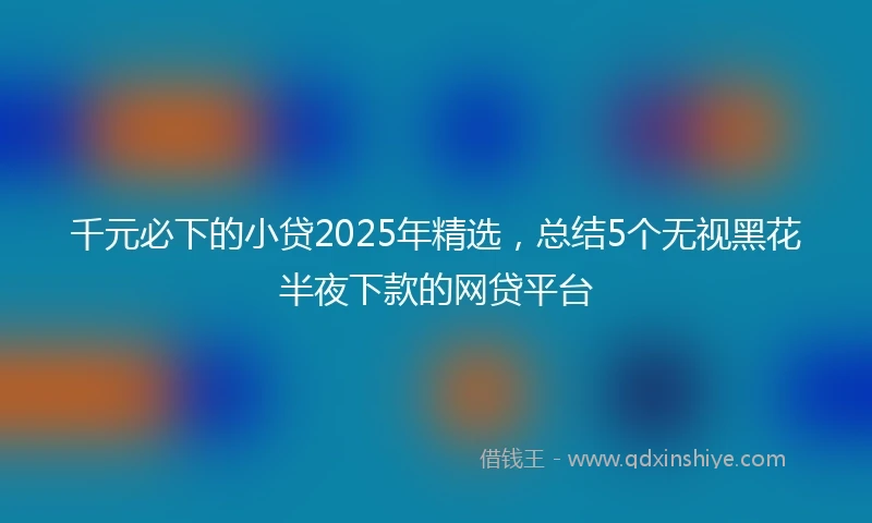 千元必下的小贷2025年精选，总结5个无视黑花半夜下款的网贷平台
