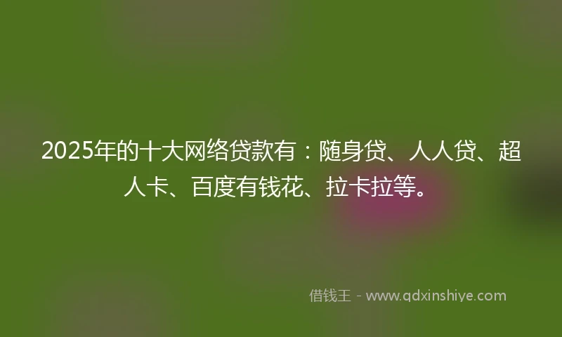2025年的十大网络贷款有:随身贷、人人贷、超人卡、百度有钱花、拉卡拉等。