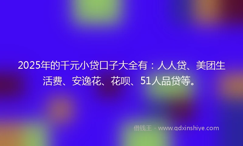 2025年的千元小贷口子大全有：人人贷、美团生活费、安逸花、花呗、51人品贷等。